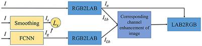 Identification of hickory nuts with different oxidation levels by integrating self-supervised and supervised learning